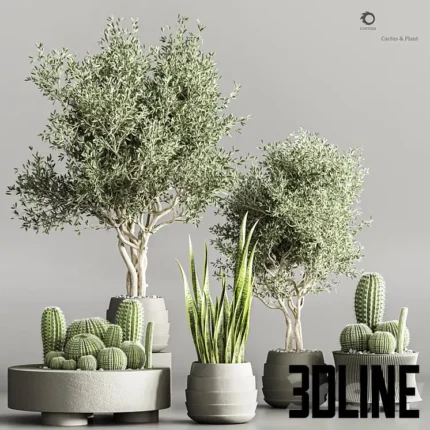 Cactus plant vol 02(3dline.net)