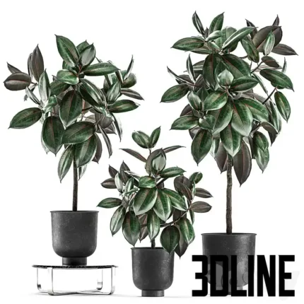 Collection of decorative small trees in black pots(3dline.net)
