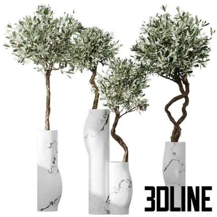 HQ Plants Mission Olive Tree Indoor Vase Set003(3dline.net)