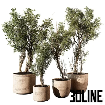 Outdoor Plant 207(3dline.net)