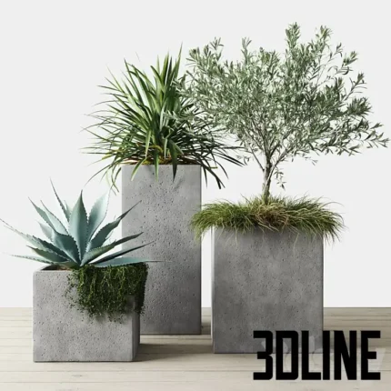 Outdoor Plants Set in Pottery Barn planters(3dline.net)