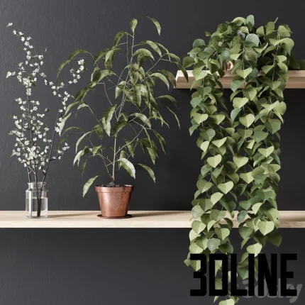 PLANT 002(3dline.net)