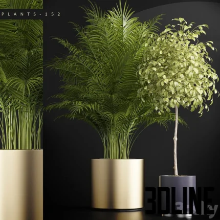 PLANTS 152(3dline.net)