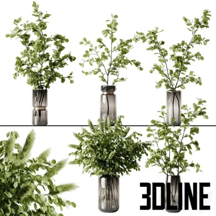 Plant 3(3dline.net)