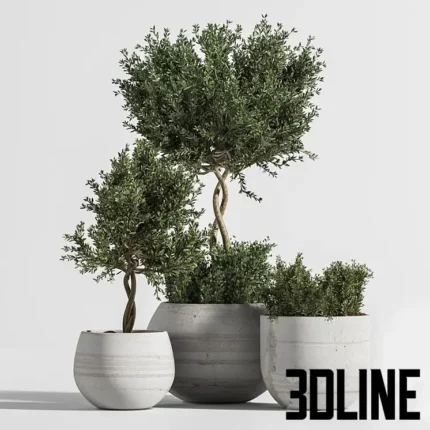 Plant Indoor with Concrete Leaf(3dline.net)