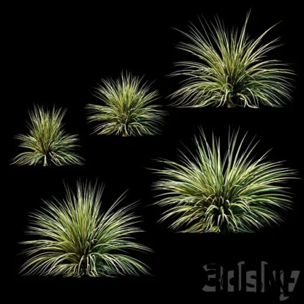 Plants for Exterior v2(3dline.net)