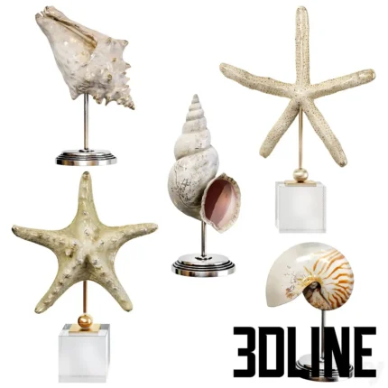 Sea shell decorative set 03(3dline.net)