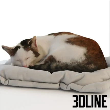 The cat sleeps on a pouf bed(3dline.net)