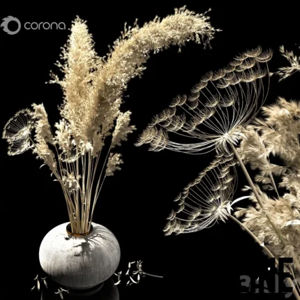dried flowers tropic(3dline.net)