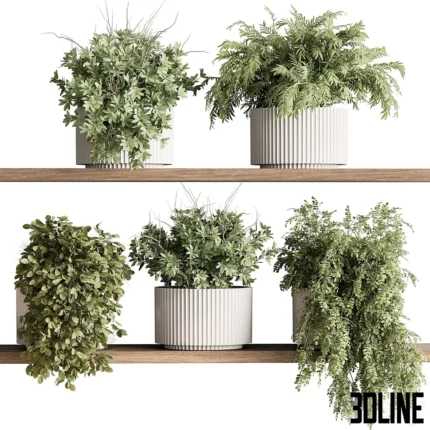 indoor Plant 599 Hanging Plants(3dline.net)