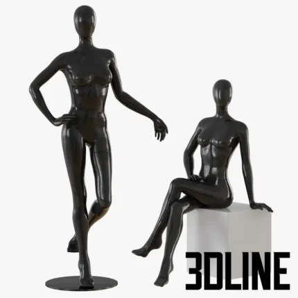 2 Abstract female mannequin(3dline.net)