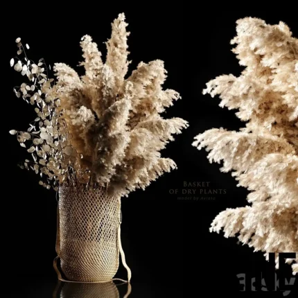 Basket of dry plants(3dline.net)