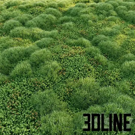 Blooming moss 2(3dline.net)