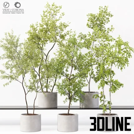 Collaction Indoor Plants 018(3dline.net)