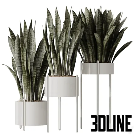 HQ HousePlants Snake Green(3dline.net)