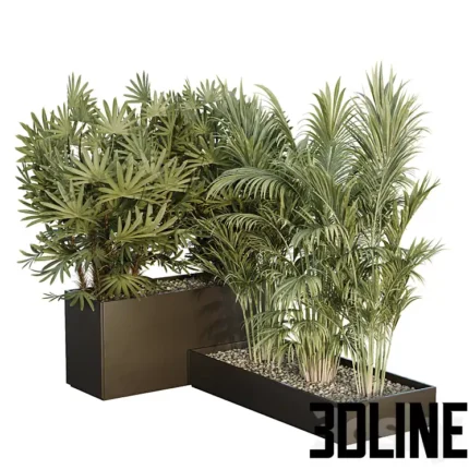 HQ Tree and bush garden box outdoor VOL 44(3dline.net)