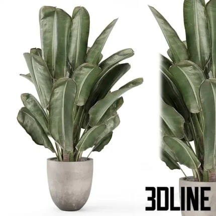 Indoor Plants In Rusty Concrete Pot Set(3dline.net)