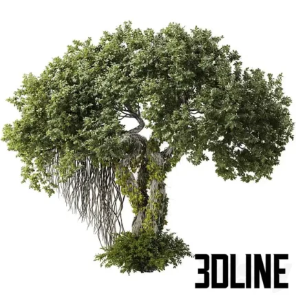 Jungle Tree and ivy plants 320(3dline.net)
