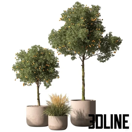 Outdoor Plant 698 Lemon Tree(3dline.net)