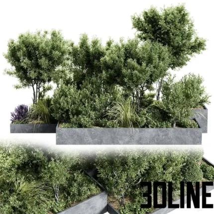 Outdoor Plants 11 Plants in box(3dline.net)
