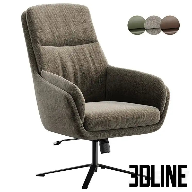 Renal Armchair(3dline.net)