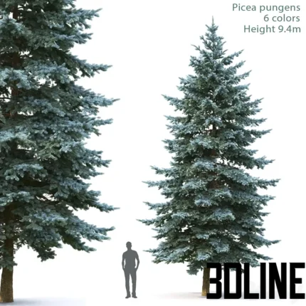 Spruce(3dline.net)