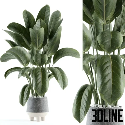 indoor plant 152(3dline.net)